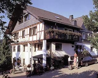 Pension Zur Schonen Aussicht Hallenberg Exterior photo